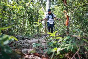 BIB: 
                            <button type="button" onclick="openModal(27704810)" class="btn btn-primary btn-sm float-right btn-popup" data-toggle="modal" data-target=".modal-high-quality">
                        <i class="fas fa-shopping-cart"></i> Add to Cart
                    </button>
                                            <button type="button" onclick="isThisMe(27704810, true)" class="btn btn-success btn-sm float-right btn-popup btn-isme hidden" data-toggle="tooltip" data-placement="bottom" title="นี่คือรูปของคุณใช่ไหม คลิกที่นี่เพื่อเอาเข้าอัลบั้ม">
                        <i class="fas fa-plus"></i> Add to album
                    </button>
                    <button type="button" onclick="isThisMe(27704810, false)" class="btn btn-warning btn-sm float-right btn-popup btn-isnotme hidden">
                        <i class="fas fa-ban"></i> Remove from album
                    </button>